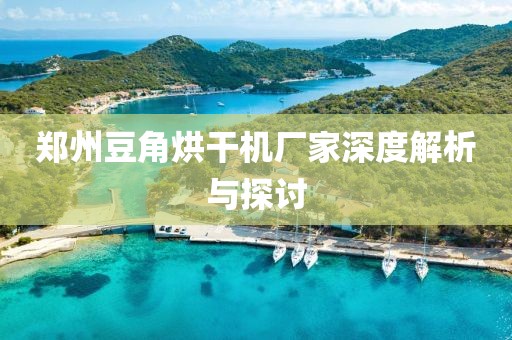 郑州豆角烘干机厂家深度解析与探讨