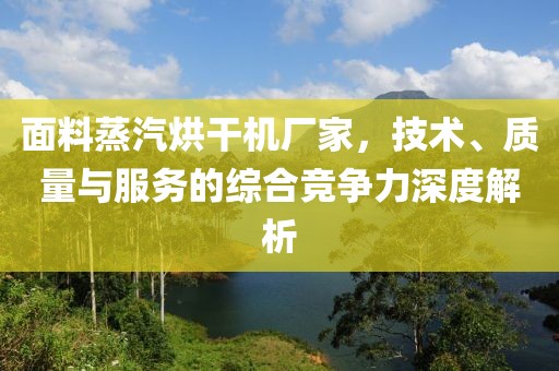 面料蒸汽烘干机厂家，技术、质量与服务的综合竞争力深度解析