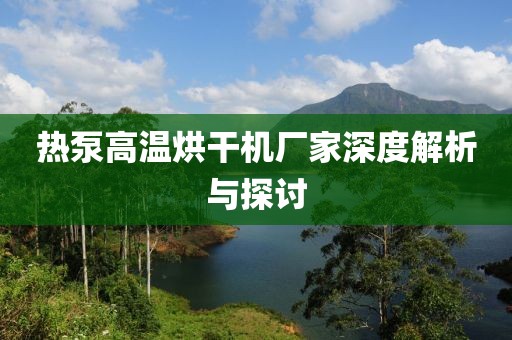 热泵高温烘干机厂家深度解析与探讨