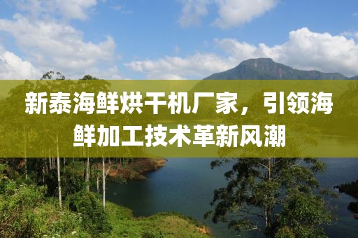 新泰海鲜烘干机厂家，引领海鲜加工技术革新风潮