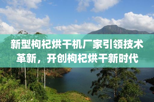 新型枸杞烘干机厂家引领技术革新，开创枸杞烘干新时代