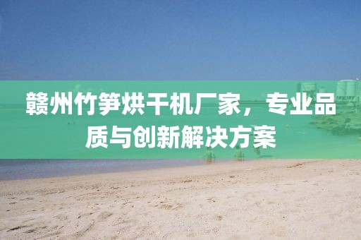 赣州竹笋烘干机厂家，专业品质与创新解决方案