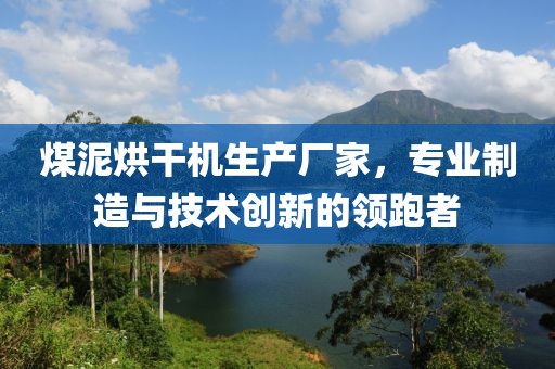 煤泥烘干机生产厂家，专业制造与技术创新的领跑者