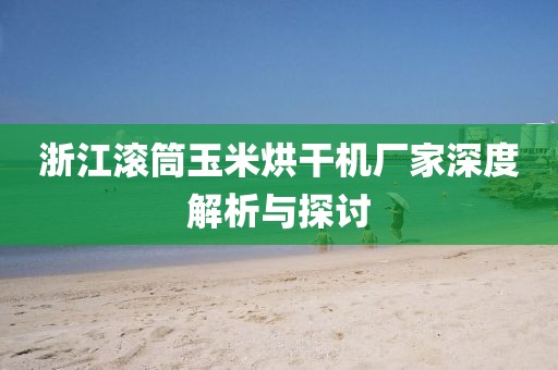 浙江滚筒玉米烘干机厂家深度解析与探讨