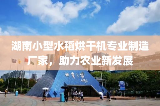 湖南小型水稻烘干机专业制造厂家，助力农业新发展