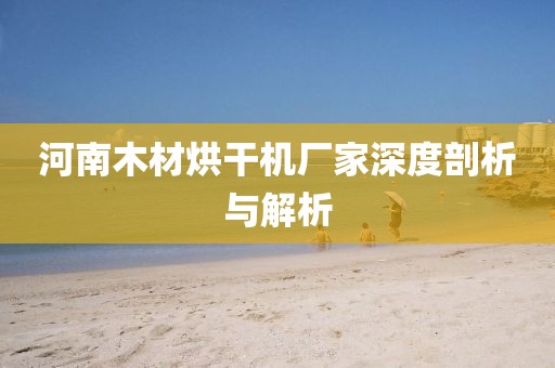 河南木材烘干机厂家深度剖析与解析