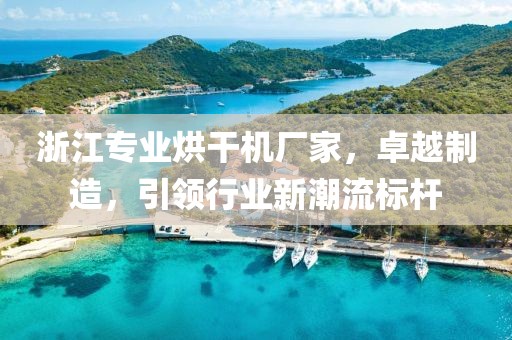 浙江专业烘干机厂家，卓越制造，引领行业新潮流标杆