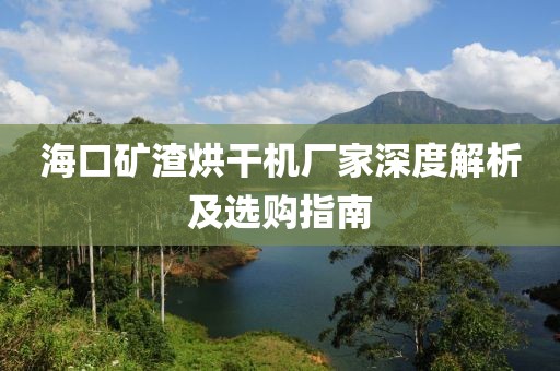 海口矿渣烘干机厂家深度解析及选购指南