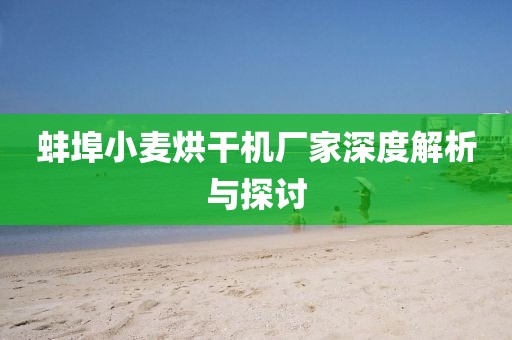 蚌埠小麦烘干机厂家深度解析与探讨