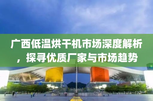 广西低温烘干机市场深度解析，探寻优质厂家与市场趋势