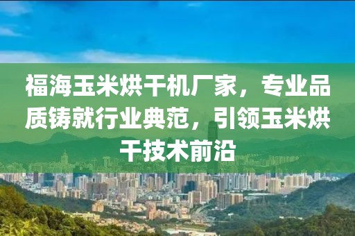 福海玉米烘干机厂家，专业品质铸就行业典范，引领玉米烘干技术前沿