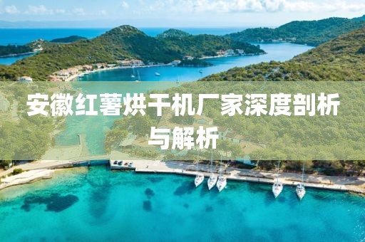 安徽红薯烘干机厂家深度剖析与解析