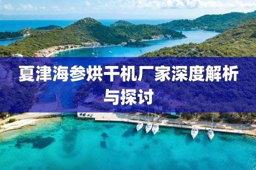 夏津海参烘干机厂家深度解析与探讨