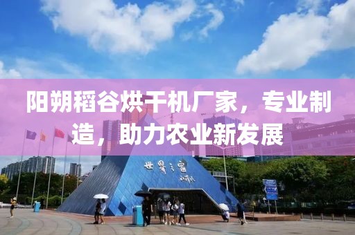 阳朔稻谷烘干机厂家，专业制造，助力农业新发展