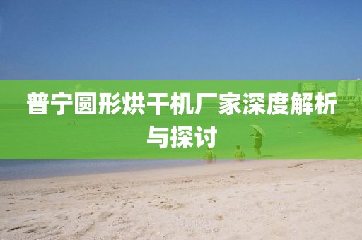 普宁圆形烘干机厂家深度解析与探讨