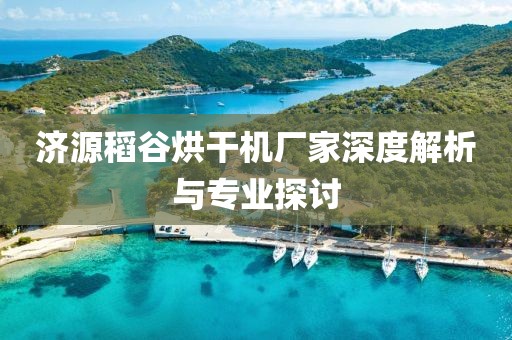 济源稻谷烘干机厂家深度解析与专业探讨