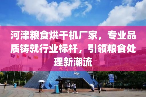 河津粮食烘干机厂家，专业品质铸就行业标杆，引领粮食处理新潮流