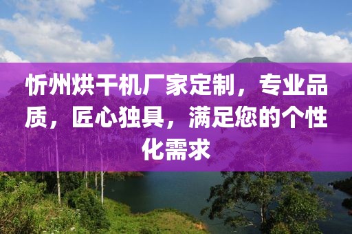 忻州烘干机厂家定制，专业品质，匠心独具，满足您的个性化需求