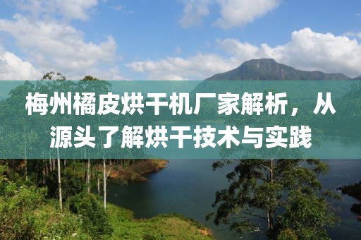 梅州橘皮烘干机厂家解析，从源头了解烘干技术与实践