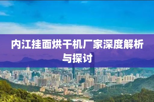 内江挂面烘干机厂家深度解析与探讨