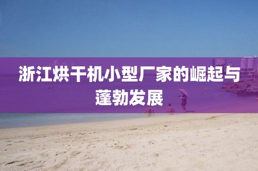 浙江烘干机小型厂家的崛起与蓬勃发展