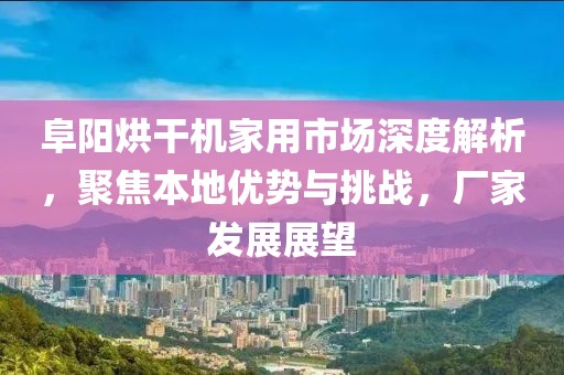 阜阳烘干机家用市场深度解析，聚焦本地优势与挑战，厂家发展展望