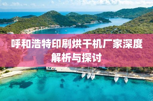 呼和浩特印刷烘干机厂家深度解析与探讨