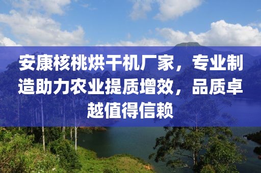 安康核桃烘干机厂家，专业制造助力农业提质增效，品质卓越值得信赖