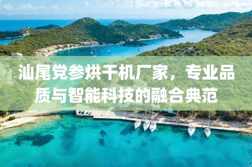 汕尾党参烘干机厂家，专业品质与智能科技的融合典范