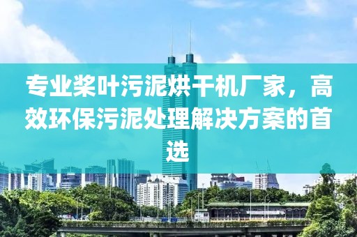 专业桨叶污泥烘干机厂家，高效环保污泥处理解决方案的首选