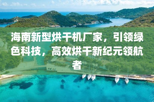 海南新型烘干机厂家，引领绿色科技，高效烘干新纪元领航者