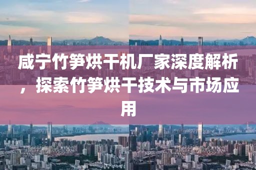 咸宁竹笋烘干机厂家深度解析，探索竹笋烘干技术与市场应用