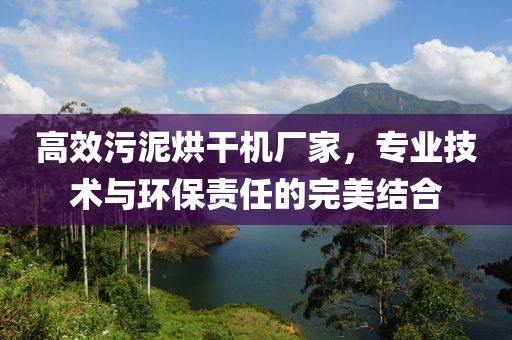 高效污泥烘干机厂家，专业技术与环保责任的完美结合