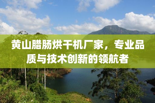 黄山腊肠烘干机厂家，专业品质与技术创新的领航者