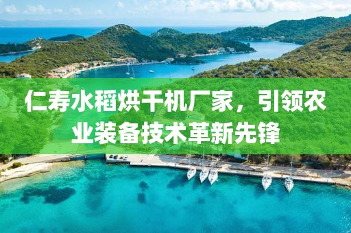 仁寿水稻烘干机厂家，引领农业装备技术革新先锋