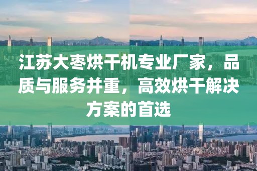 江苏大枣烘干机专业厂家，品质与服务并重，高效烘干解决方案的首选