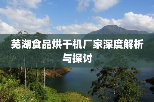 芜湖食品烘干机厂家深度解析与探讨