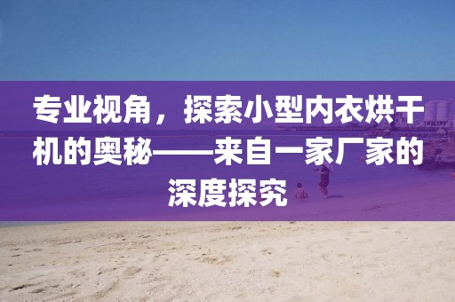 专业视角，探索小型内衣烘干机的奥秘——来自一家厂家的深度探究