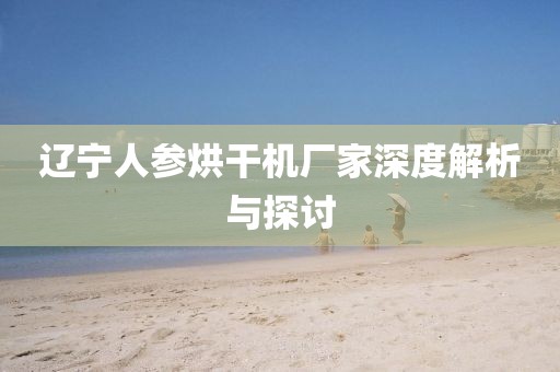 辽宁人参烘干机厂家深度解析与探讨