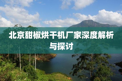 北京甜椒烘干机厂家深度解析与探讨