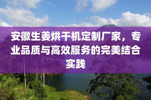 安徽生姜烘干机定制厂家，专业品质与高效服务的完美结合实践