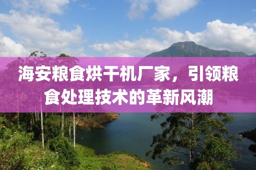 海安粮食烘干机厂家，引领粮食处理技术的革新风潮