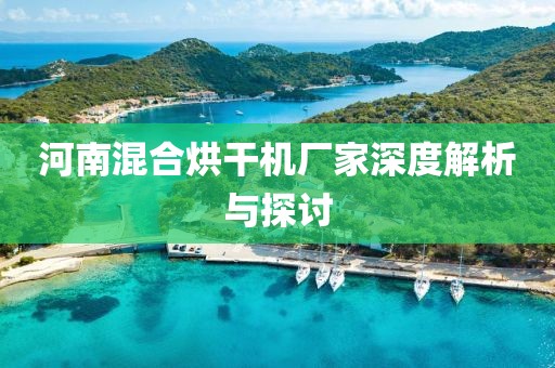 河南混合烘干机厂家深度解析与探讨