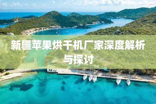 新疆苹果烘干机厂家深度解析与探讨