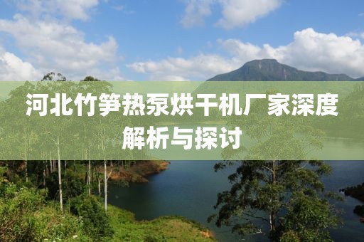 河北竹笋热泵烘干机厂家深度解析与探讨