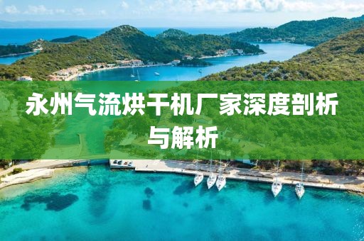 永州气流烘干机厂家深度剖析与解析