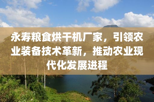 永寿粮食烘干机厂家，引领农业装备技术革新，推动农业现代化发展进程