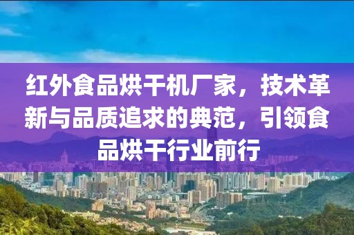 红外食品烘干机厂家，技术革新与品质追求的典范，引领食品烘干行业前行