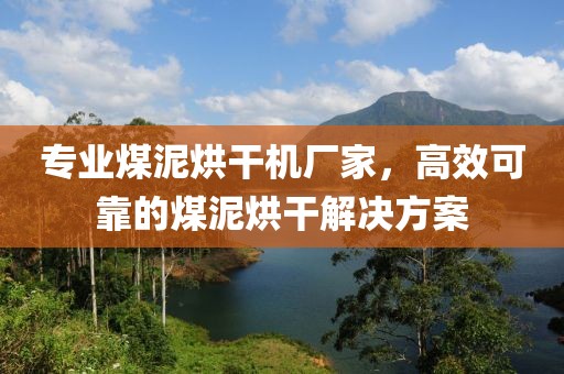 专业煤泥烘干机厂家，高效可靠的煤泥烘干解决方案