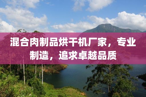 混合肉制品烘干机厂家，专业制造，追求卓越品质